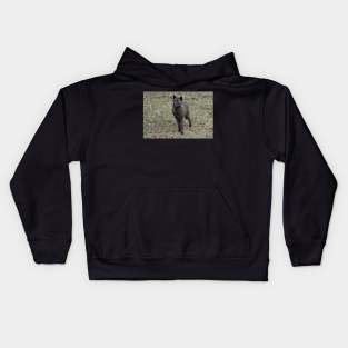 Black Wolf Kids Hoodie